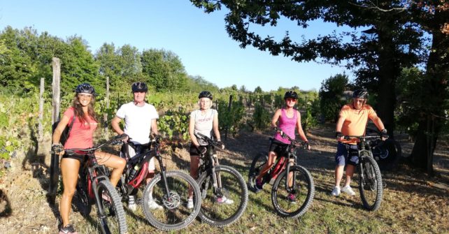 Vinuva sui pedali! Escursioni in bicicletta “Wine & Bike Tour”